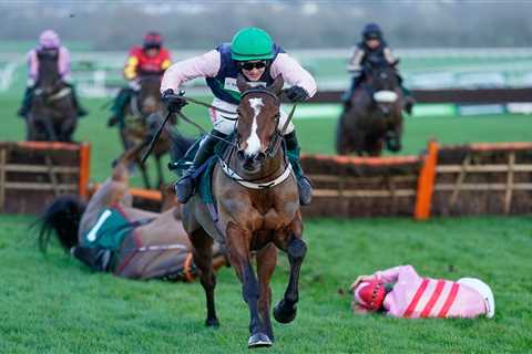 Dramatic Cheltenham final flight fall means Danny Mullins celebrating again thanks to Stormy Ireland