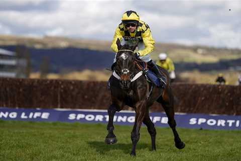 Cheltenham Festival CONFIRMED entries: Gold Cup, Champion Chase and Ryanair runners announced