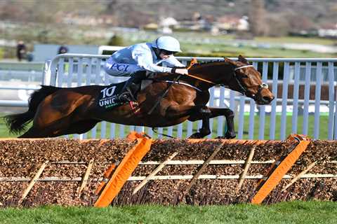 Cheltenham Festival ante post tip: 9-1 treble made up entirely of favourites has to be backed