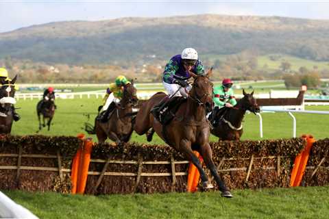 Cheltenham Festival ante post: Back Templegate’s BOOSTED Gold Cup and Stayers’ Hurdle double at..