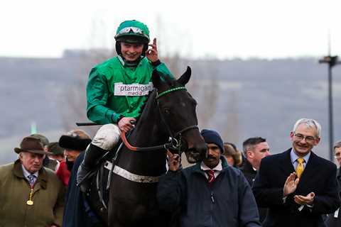 Cheltenham Festival ante post tip: 25-1 Nicky Henderson hurdler is amazing value for Coral Cup