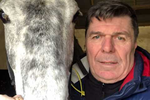 Former Newcastle striker Mick Quinn pleads ‘giza job’ after quitting horse racing career amid..