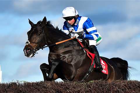 Bryony Frost: Long drives in the car and freezing cold can be a drag – but there is nothing like..