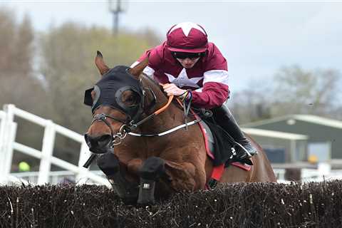 Matt Chapman: Drug claims in Irish racing a mess & why BHA may have new rule after Tiger Roll..