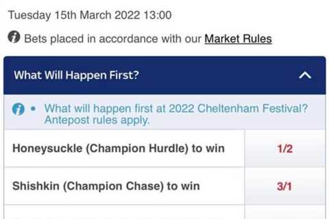 ‘I’m having a shocker’ – punter reckons Cheltenham Festival bet is a winner until everyone points..