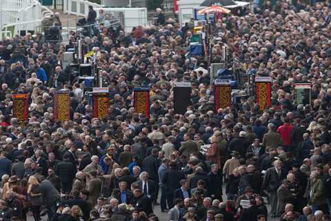 Cheltenham Festival: Race to be named after Ukraine Appeal on Day 1 of the Festival