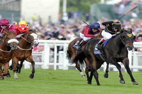 Trainer left heartbroken as three horses, including Royal Ascot winner, killed in fire after..