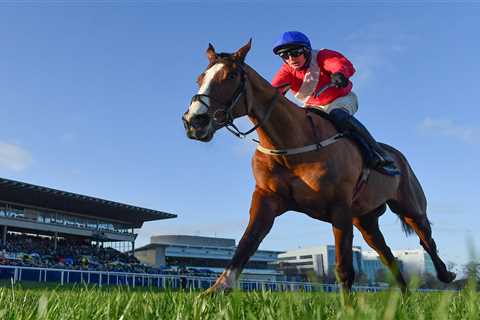 Cheltenham Festival – Sky Bet bonus offer: Get money back as CASH if your horse loses the Supreme..