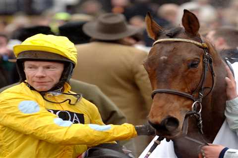 Who is Mick Fitzgerald? From leading Cheltenham jockey to ITV pundit