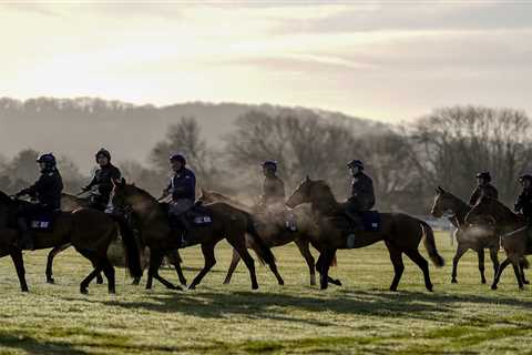 Cheltenham Festival 2022 weather forecast and  going for this week – the latest from Prestbury Park