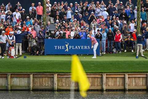 Let's break down Cameron Smith's perfect* shot into the 17th green at TPC Sawgrass