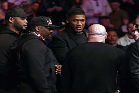 ‘We live and breathe the fight game’ – Anthony Joshua joined by Dereck Chisora and Co in front row..