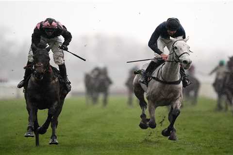 Popular grey Snow Leopardess bidding to become first mum to win Grand National as trainer Longsdon..