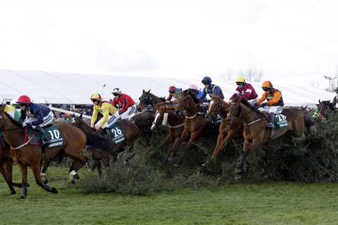 UK charities win big as bookies donate thousands from Grand National bets after 50/1 winner