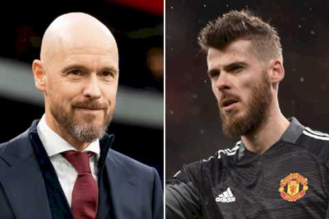 New Manchester United boss Erik ten Hag has concerns over David de Gea’s suitability for his system