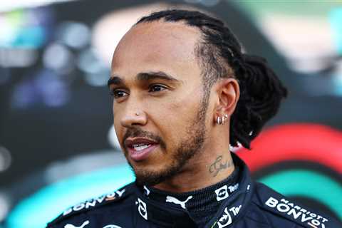 Lewis Hamilton finally bags a victory as F1 star wins council battle to chop down tree at..