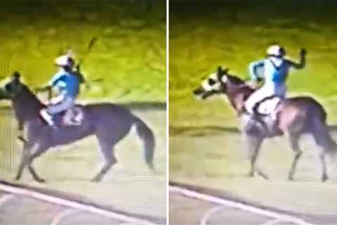 ‘Ban him for life!’ – Fury as jockey is filmed hitting horse in the face twice after losing race