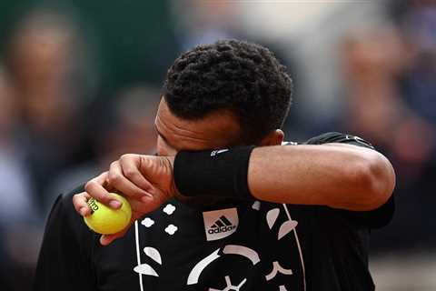 Watch retiring Jo-Wilfried Tsonga burst into tears in front of avid French Open crowd BEFORE losing ..