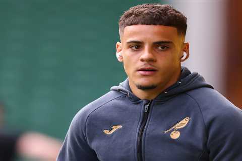 Man Utd legend Rio Ferdinand urges former club to raid Norwich for 22-year-old right-back Max Aarons