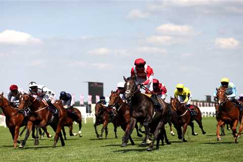 Royal Ascot punters set to stake record £100million and down tens of thousands of gallons of booze