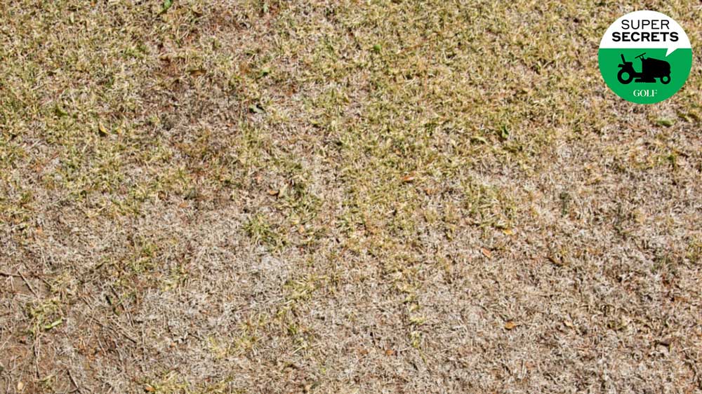 Is your grass dead, or just dormant? Here’s how to know, according to a superintendent