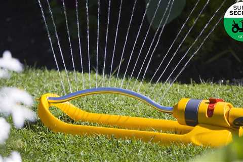 8 yard-watering secrets for lusher, greener grass | Super Secrets