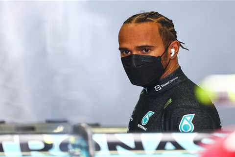 Homophobic and racist abuse by fans cast shadow over Austrian GP as F1 and Lewis Hamilton slam..