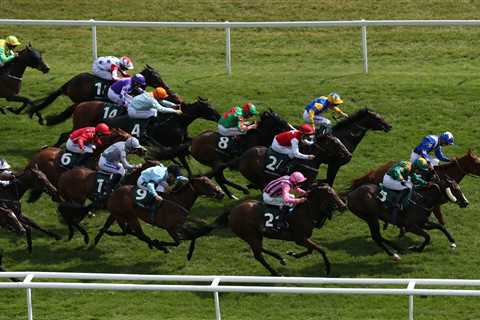 Weatherbys Super Sprint Stakes CONFIRMED runners and riders plus tip for massive 21-runner Newbury..