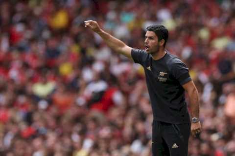 Mikel Arteta confirms Arsenal want further summer signings