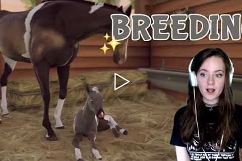 BREEDING THE BEST AND MOST BEAUTIFUL HORSES #1 - Rival Stars Horse Racing | Pinehaven