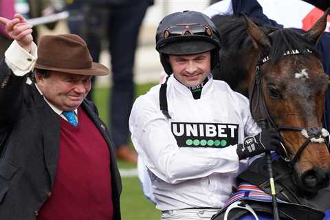 Constitution Hill running plans confirmed as Nicky Henderson’s Cheltenham superstar warms up for..