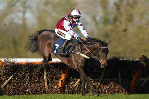 Horse disqualified from Southwell win after bizarrely testing positive for HAIR LOSS medication