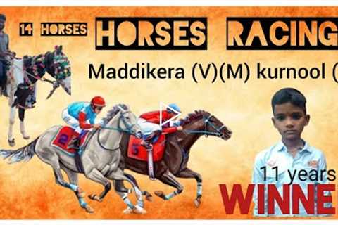 maddikera horse racing||happy Dusshera 2022||kurnool district