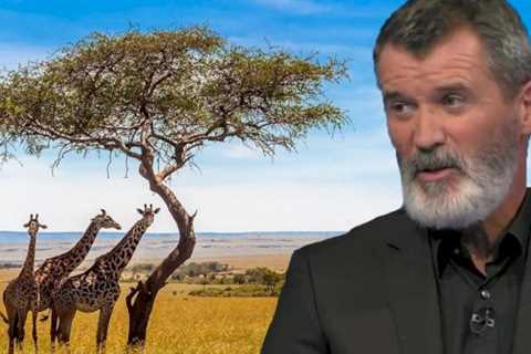 Roy Keane found his favourite holiday destination ‘peaceful and spiritual’