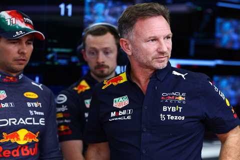 Red Bull chief Christian Horner launches extraordinary blast at McLaren boss Zak Brown amid bitter..