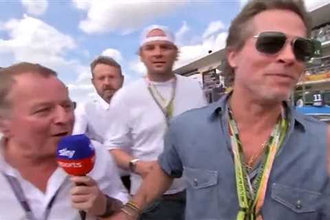 Hollywood star Brad Pitt awkwardly snubs Sky Sports presenter Martin Brundle during US Grand Prix..