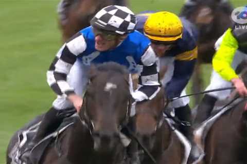 Gold Trip wins dramatic Melbourne Cup after vandal breaks onto course and sprays 1000 litres of..