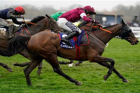 ‘And so it begins’ – ante-post punters panicking as another big Cheltenham Festival hope is ruled..