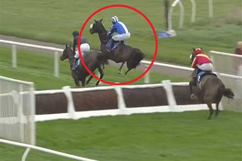 ‘The Ronaldo of horses’ – punters in stitches watching horse pull off ‘worst jumping ever’ with..
