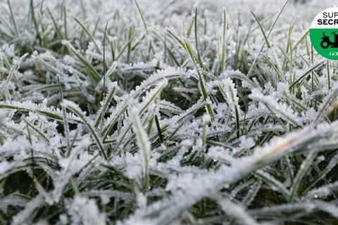 Is your yard winter-ready? Do these 8 things now to prepare
