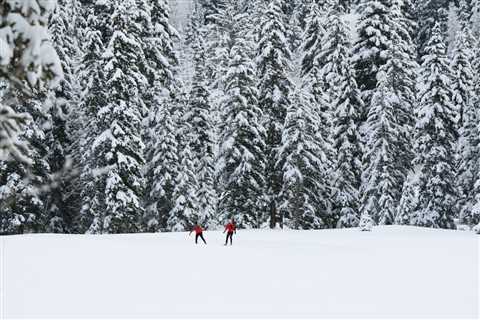 What is Nordic Combined?