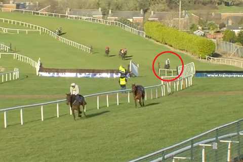 ‘He must be a furlong in front!’ – Horse who let down thousands of Cheltenham accas wins by 86..