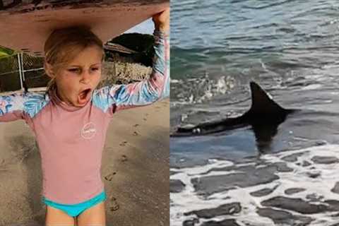 Little Girl Surfs with Big Shark in Hawaii