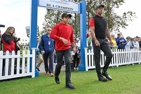 'I used to be good': Tiger Woods responds to Charlie's hilarious assessment of his..