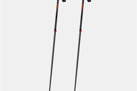 Different Types of Ski Poles