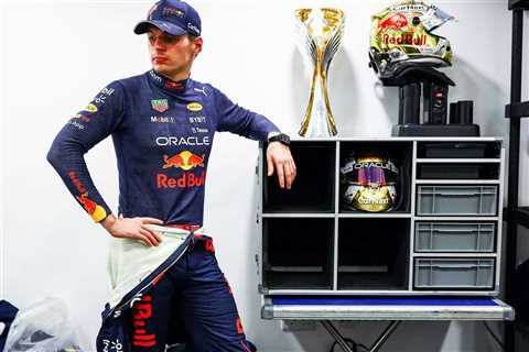 “Max Verstappen is 99 percent perfect”