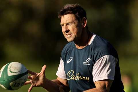 Wallabies assistant coach Scott Wisemantel resigns seven months out from Rugby World Cup – The..