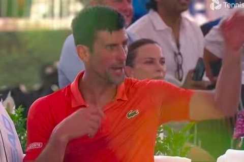 Raging Novak Djokovic kicks his brother out of his coaching box during meltdown at Adelaide Open