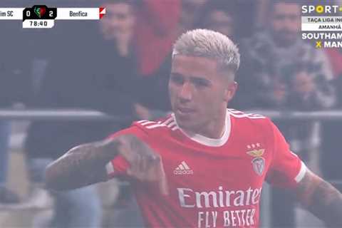 Fans all say same thing after Enzo Fernandez’s passionate Benfica celebration as Chelsea refuse to..