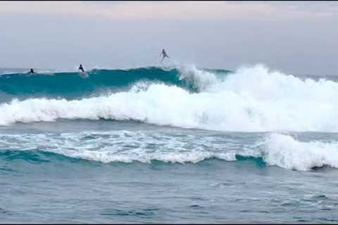 Surfing Haleiwa 1/10/2023 7:30-8:30am 🐋 North Shore Hawaii / Occasionally random big waves